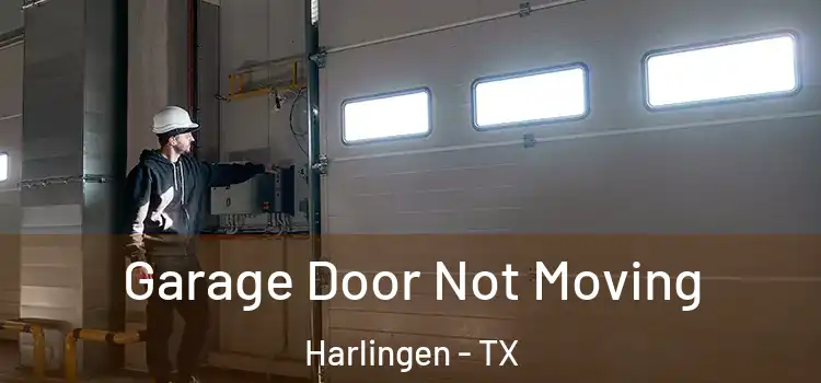  Garage Door Not Moving Harlingen - TX