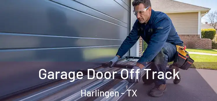  Garage Door Off Track Harlingen - TX