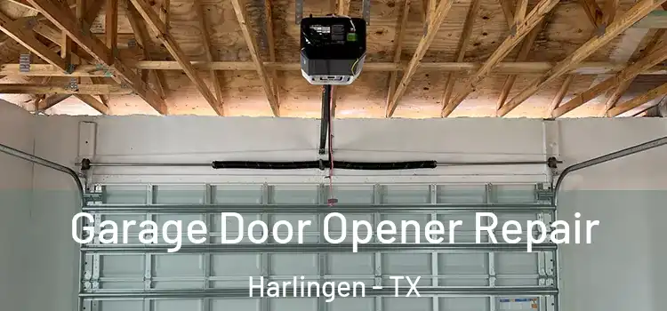  Garage Door Opener Repair Harlingen - TX