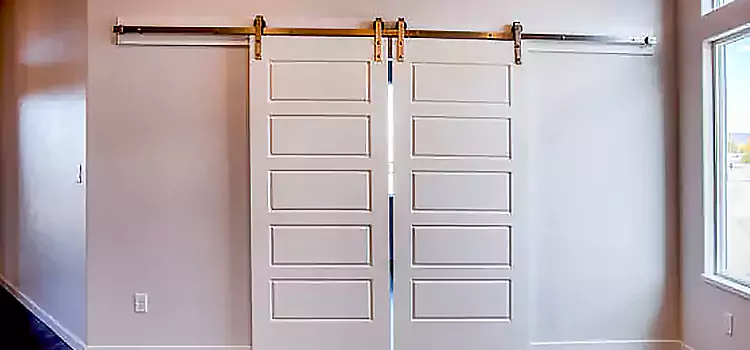 Glass Barn Door with Installation Hardware Kit Harlingen