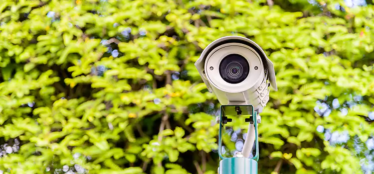 Advanced Surveillance Solutions for Every Need in Harlingen