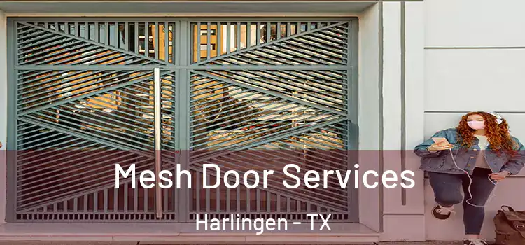 Mesh Door Services Harlingen - TX